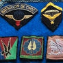 LOT INSIGNES ÉCUSSONS MILITAIRE