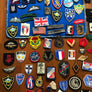 LOT INSIGNES ÉCUSSONS MILITAIRE