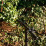 Vélo électrique pliant Shimano