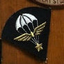 LOT INSIGNES ÉCUSSONS MILITAIRE