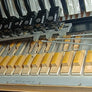 Accordéon Akkordeon Dino Baffetti