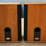 Paire de haut-parleurs Legacy Audio Mist 200 W