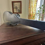 Rare guitare basse Spellbinder Mando