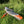 Kayak Itiwit X500 Dropstitch