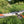 Kayak Itiwit X500 Dropstitch