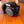 Kit complet Canon EOS 77D avec 4 objectifs