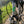Vélo électrique E-Bike