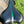 Vélo électrique E-Bike