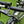 Vélo électrique Kettler Obra