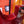 Fender Stratocaster Yngwie Malmsteen de 1995