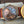 Montre OMEGA or massif 18k surdimensionné 37mm