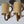 Paire d'appliques vintage Audoux Minet, design mid-century du XXe siècle