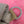 Rare Porte Parachutiste ww2 Allemand 1944 MP 38 40