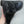 Superbe étui cuir Holster allemand P 38 "GCX" daté 1942 Para Normandie 1944