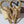 Paire d'appliques vintage Audoux Minet, design mid-century du XXe siècle