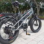 Vélo électrique Fucare Gemini X