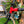 Vélo pliant Brompton CHPT 3 Version 2