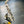 Saxophone alto Selmer Mark VI 1964 N°112568