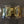 Caisse claire Ludwig Super Brass 5x14