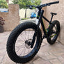 Magnifique fat bike VTT
