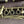 Clarinette Buffet Crampon Pré R13 Mib de 1939