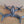 DJI FPV Fly More Combo