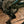 Magnifique Specialized Turbo Levo SL Expert Carbon