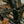 Magnifique Specialized Turbo Levo SL Expert Carbon