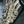 Saxophone alto Selmer Mark VI 1964 N°112568