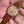 Montre Chronographe UNIVERSEL GENÈVE Compax or massif 18 carats