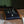 Rare Pédale d'effet guitare analogique Moogerfooger MF-104Z