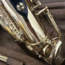 Saxophone alto Yanagisawa Prima A-50