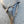 Etui pistolet allemand P08 LUGER WW2