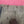 Rare Porte Parachutiste ww2 Allemand 1944 MP 38 40