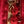 Saxophone soprano Selmer Mark 6