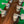 Guitare électrique Gibson SG Deluxe 1972